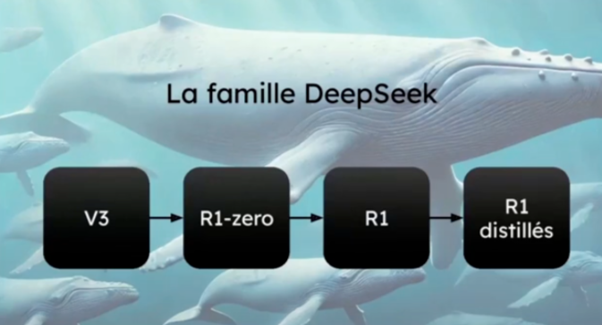 La famille des modèles de DeepSeek